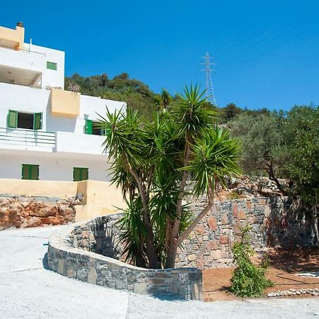 شقة Aloe House Pirgos  المظهر الخارجي الصورة